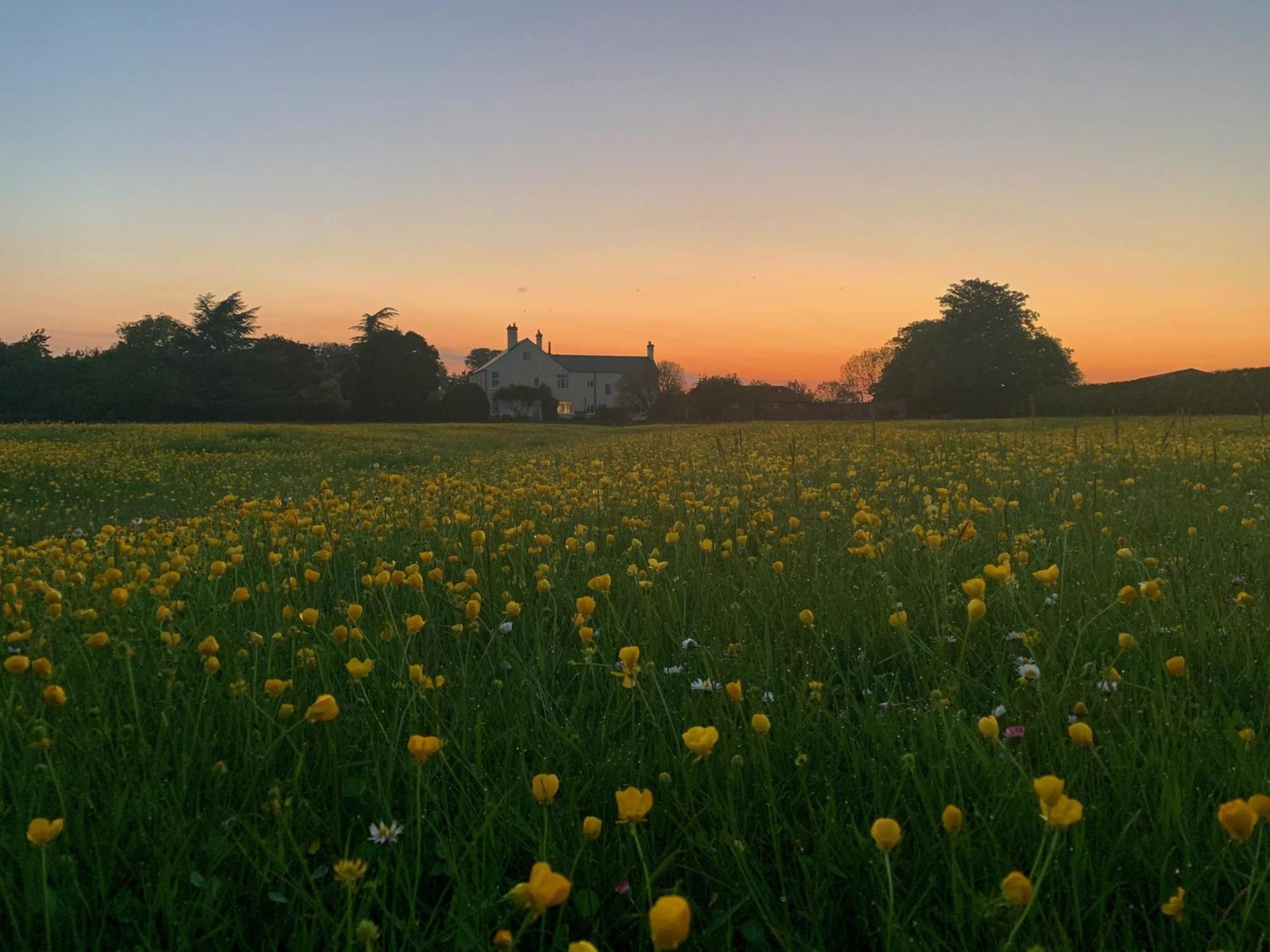Kilvington The Chestnuts Country House Boutique B&B المظهر الخارجي الصورة